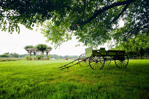 Campo verde con carro y pérgola