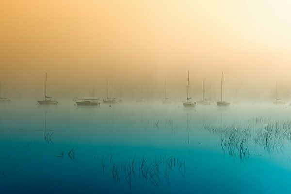 Morning. Boats. Water. Fog