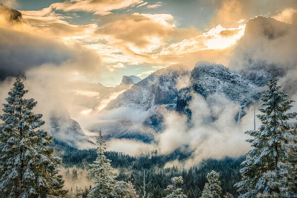 Parque nacional en California en invierno