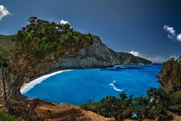 Landscape of Greece trees on rocks on the seashore