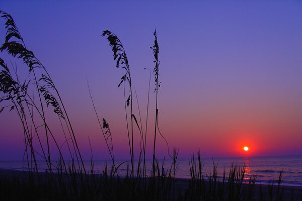 Herrlicher Sonnenuntergang am Meer