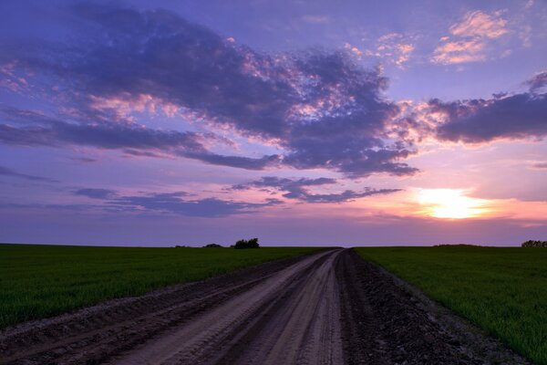 Puesta de sol carmesí. Camino de tierra