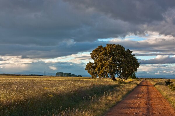 Wonderful landscape of a clear day