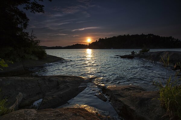 Schöner Sonnenuntergang am See vor dem Hintergrund des Waldes