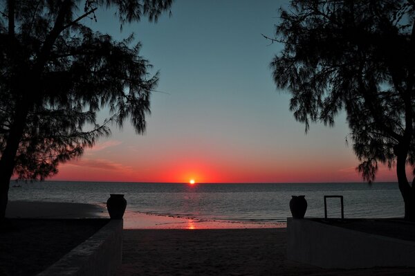 Sunset on the sea beach among the trees