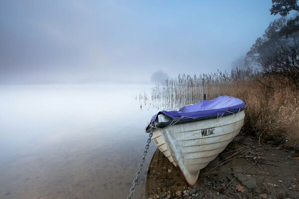 Brouillard matinal sur l eau