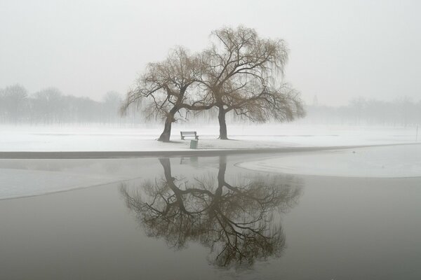 Winter Park Nebel Landschaft