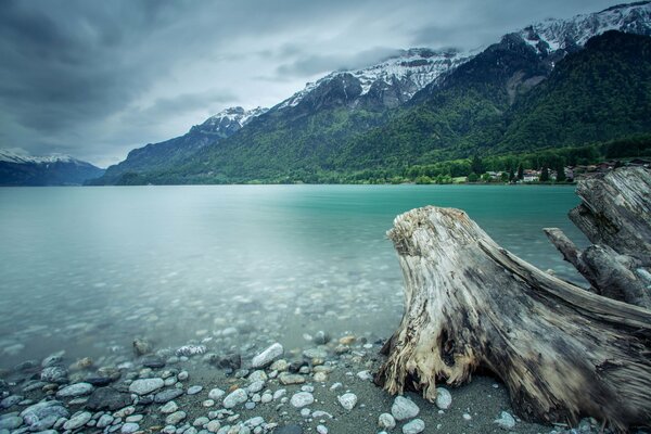 Montañas De Suiza. Lago y bosque