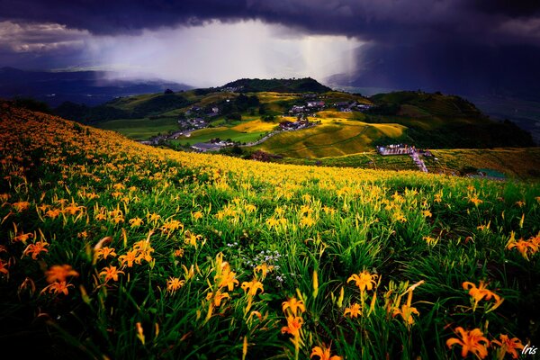 Insediamento in un campo su uno sfondo di nuvole