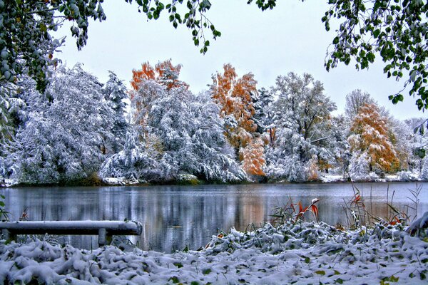 A river in a snowy winter forest