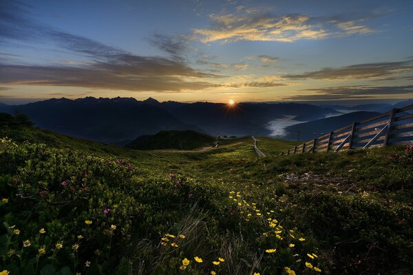 A quiet dawn in a mountainous area with flowers