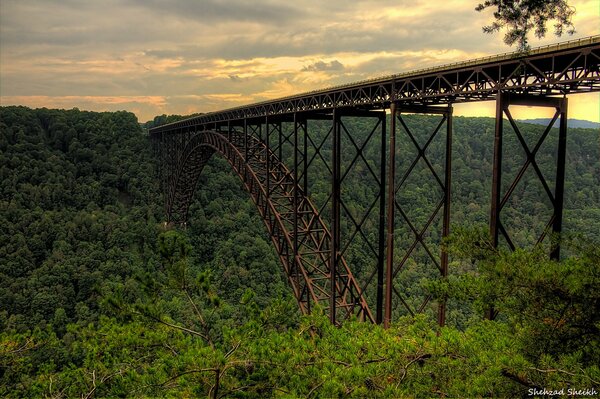 Puente alto sobre bosque impenetrable