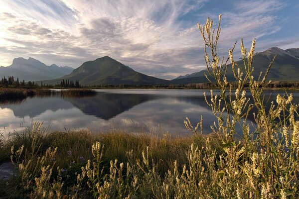 Reflexion der Berge im Sommer im Wasser