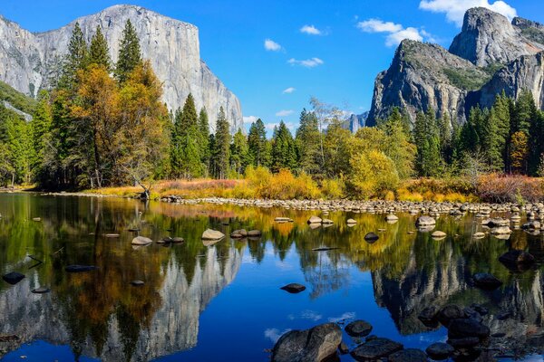 Les meilleures Créations de la nature et leur reflet