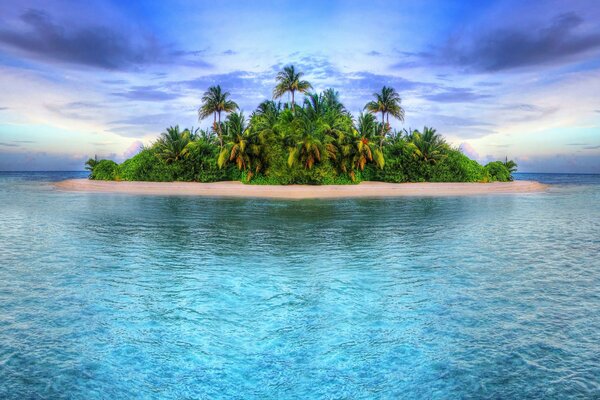 A tropical island with palm trees in the middle of the ocean