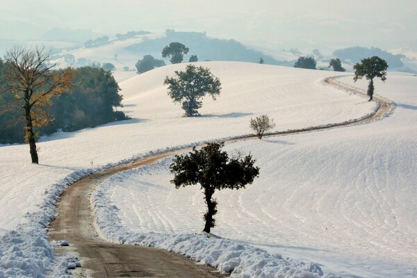 Route enneigée d hiver et le long des arbres