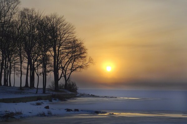 Wintermorgendämmerung am See