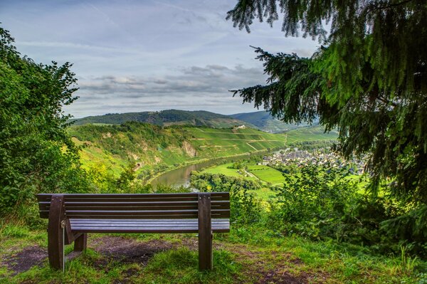 Beautiful view of a bench in the forest