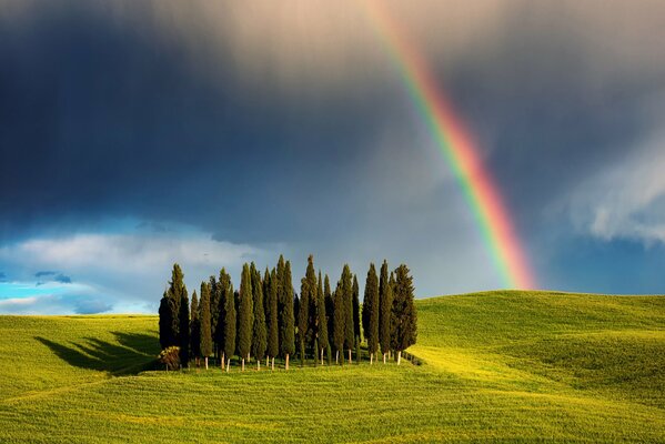 View of the Cypress hill in Italy with a rainbow