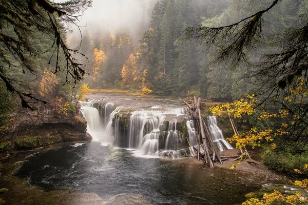 Cascada en un maravilloso lugar boscoso