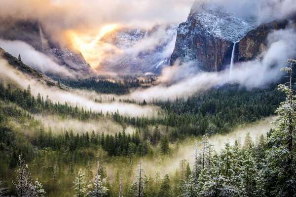 Nebbia mattutina nella foresta ai piedi delle montagne