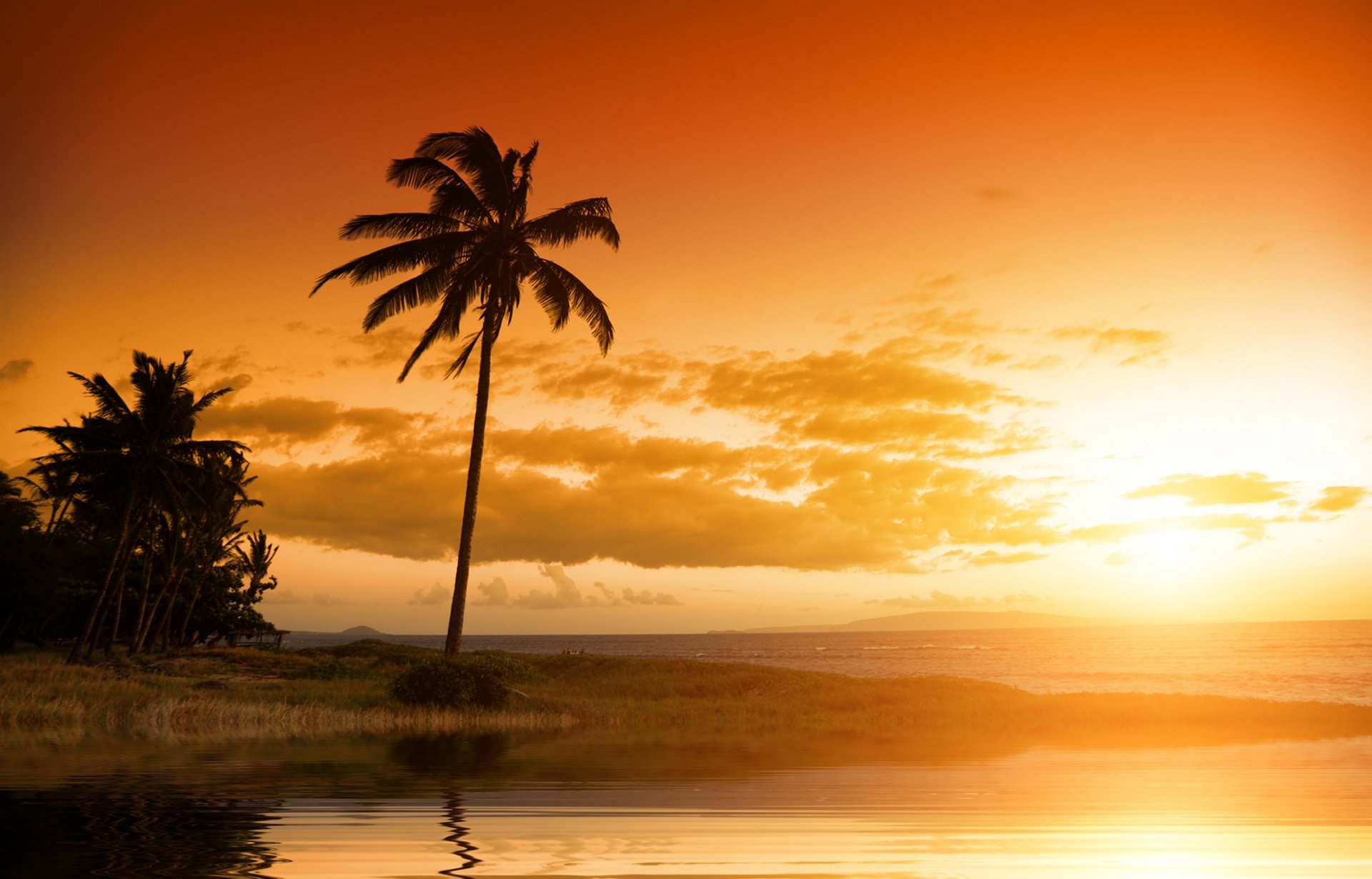 paisaje puesta de sol naturaleza paisaje cielo nubes tropical palma océano hawaii hermoso paisaje puesta de sol palmeras tropicales