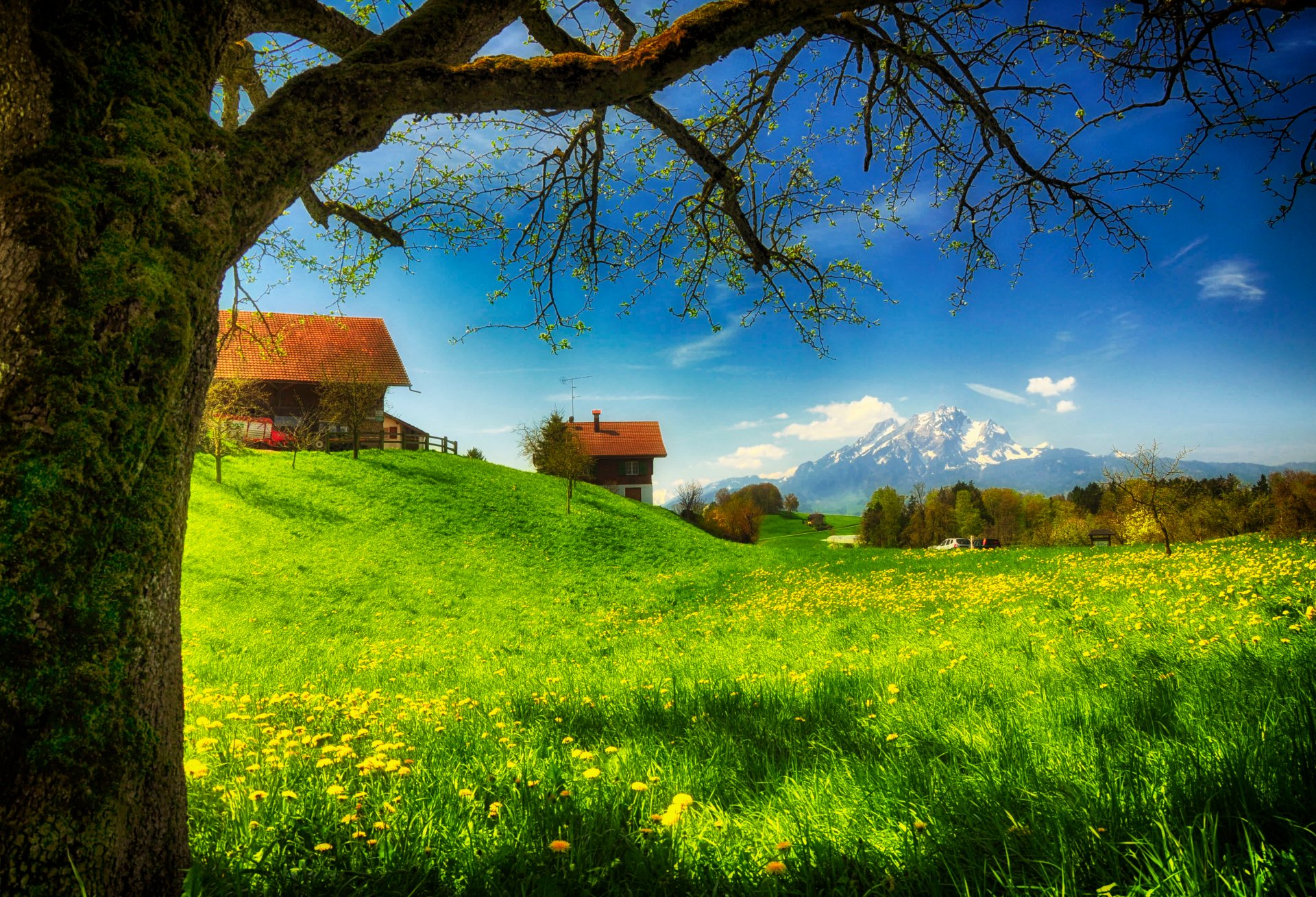 printemps verdure maisons maisons herbe montagnes mousse fleurs clairière ensoleillé