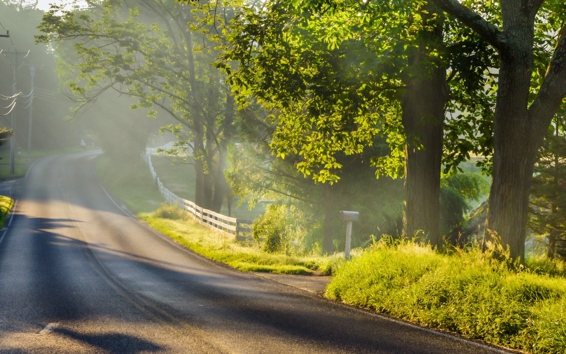 road fog light landscape