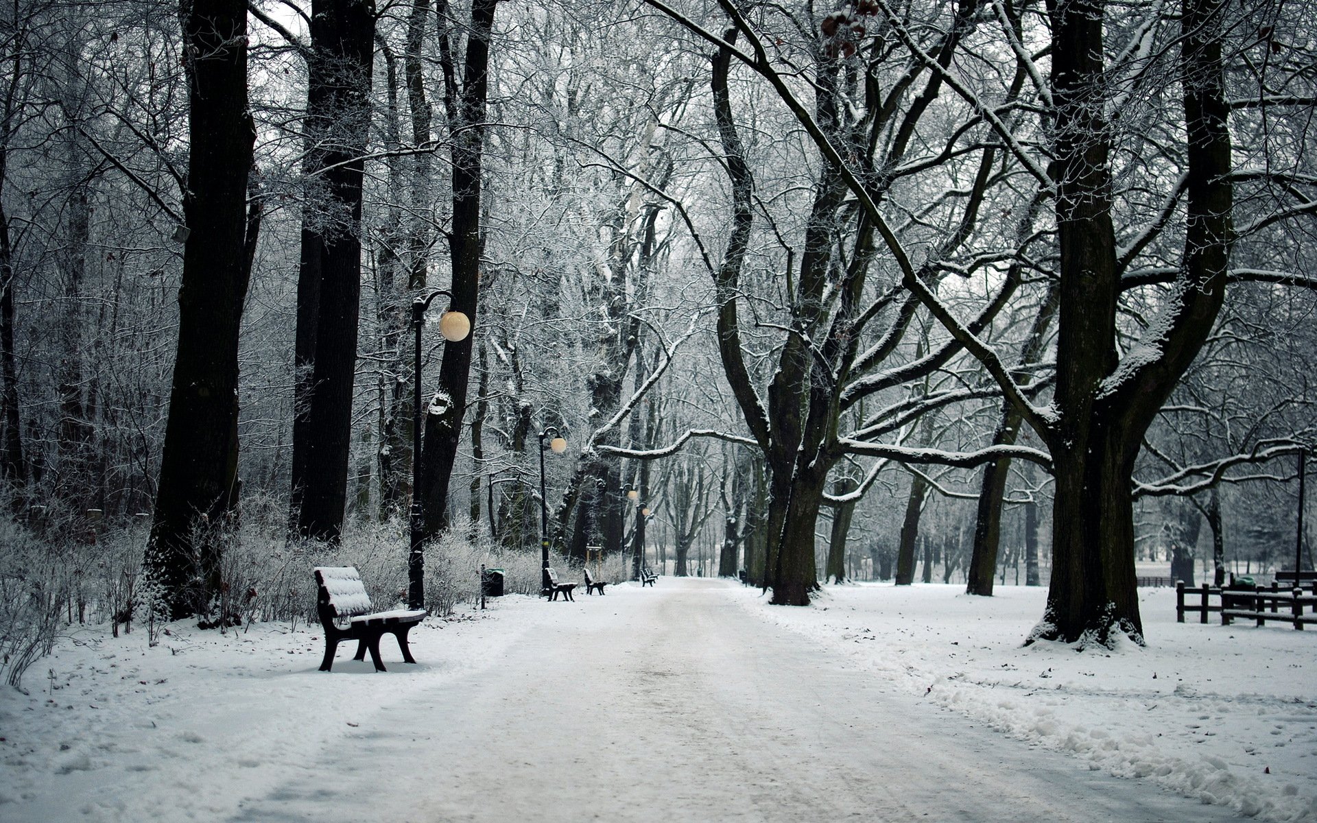 parque invierno paisaje