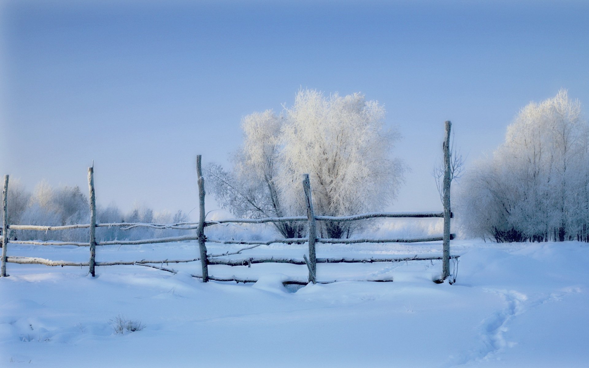 inverno recinzione neve campo mattina