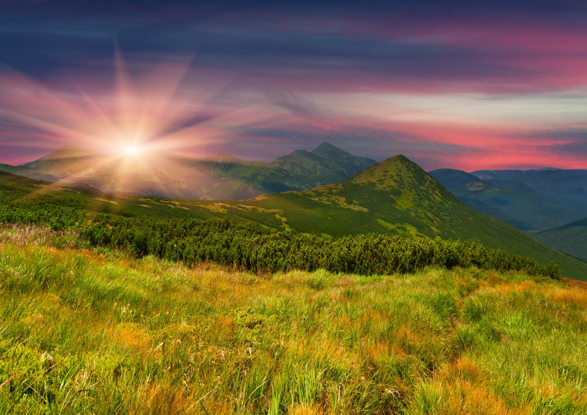 pole góry stok trawa drzewa zieleń wieczór zachód słońca słońce natura