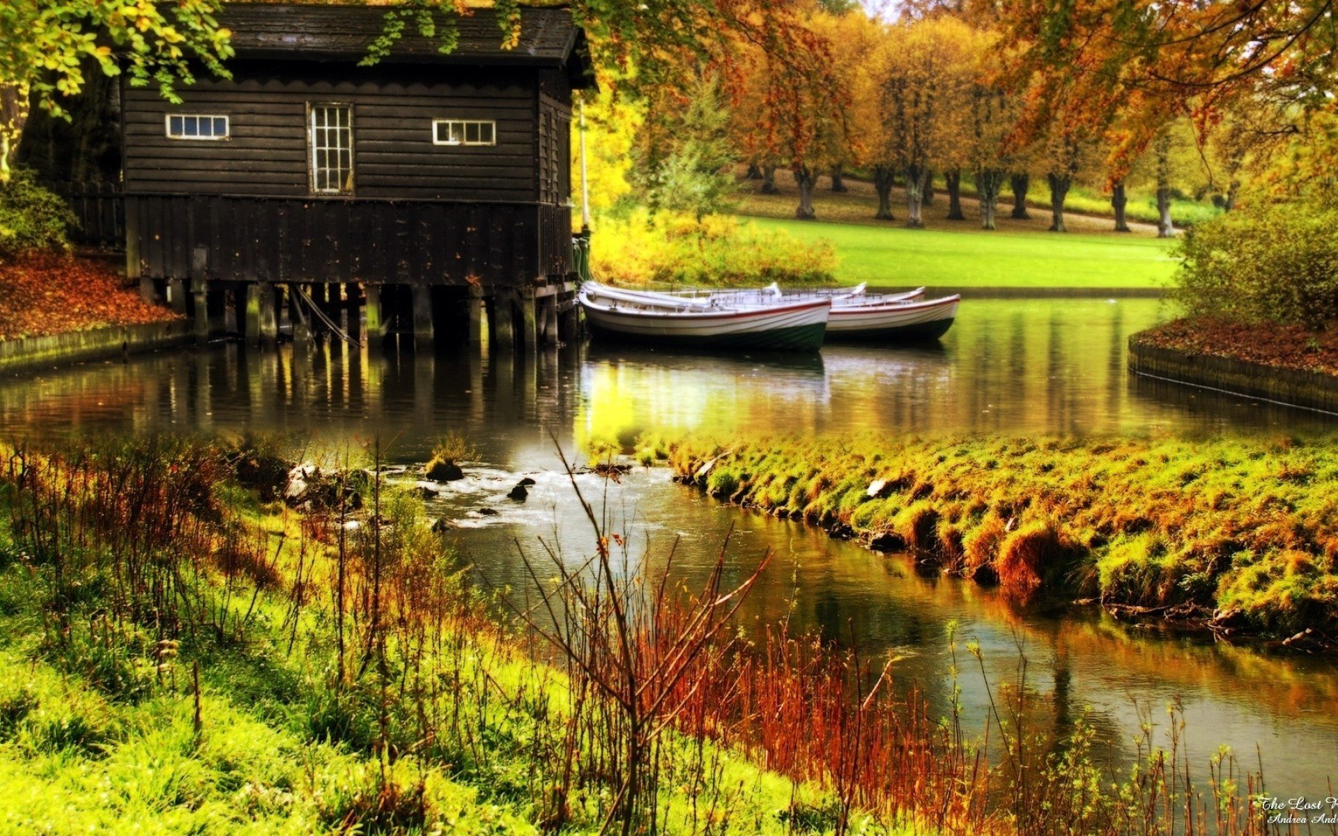 wald herbst fluss haus bäume natur foto