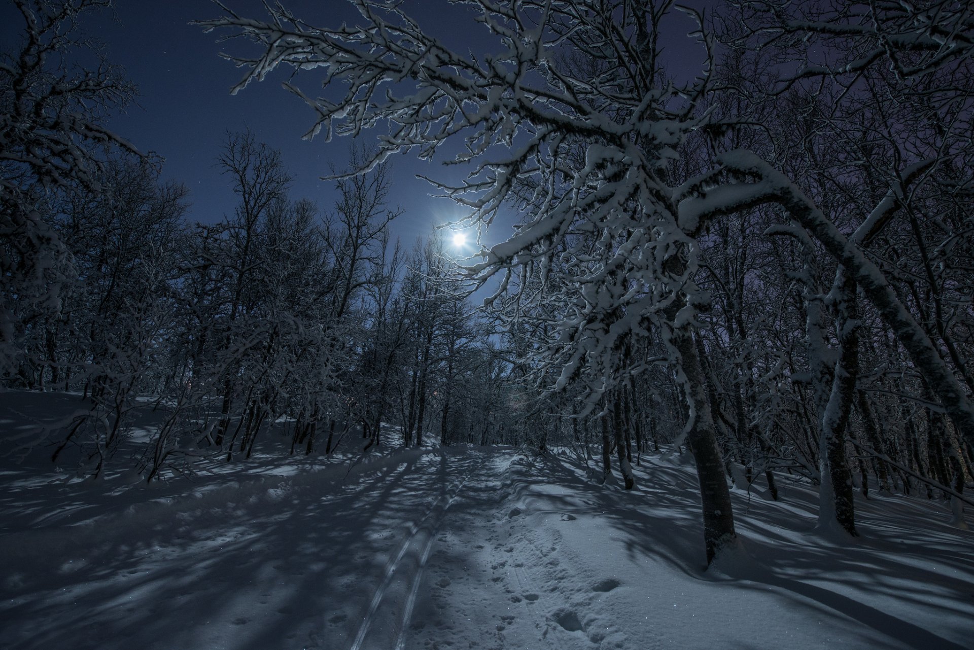 invierno bosque nieve carretera noche luna luz