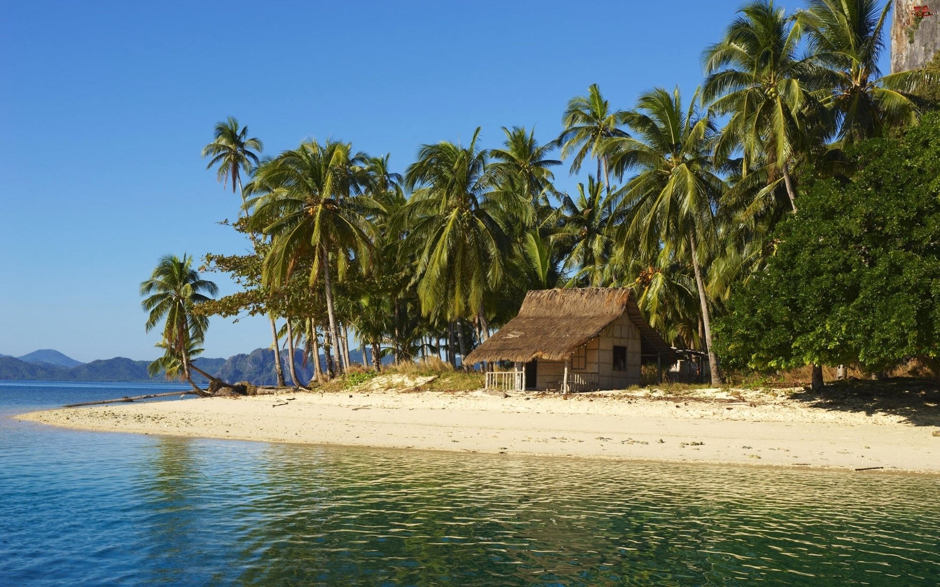 île tropiques maison