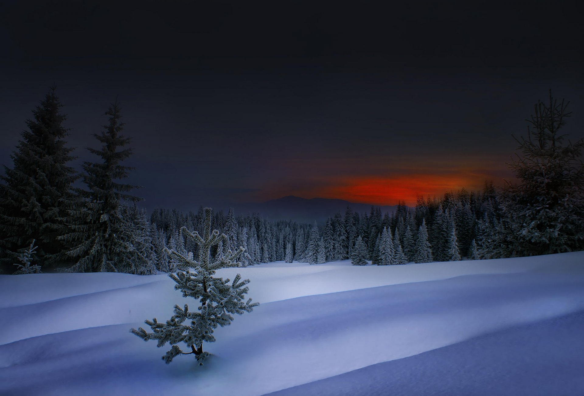 hiver dans les rhodopes hiver coucher de soleil bulgarie rhodopes