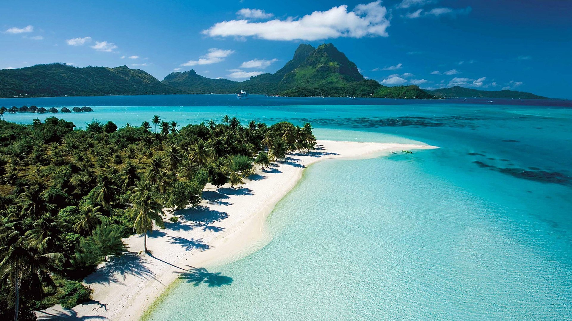 tahiti palmy plaża egzotyka