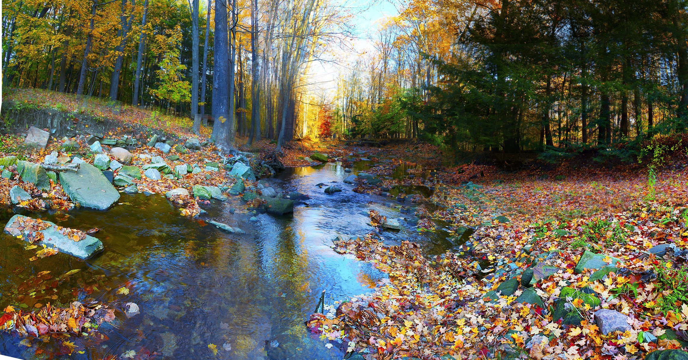 herbst wald bäume bunt laub fluss steine