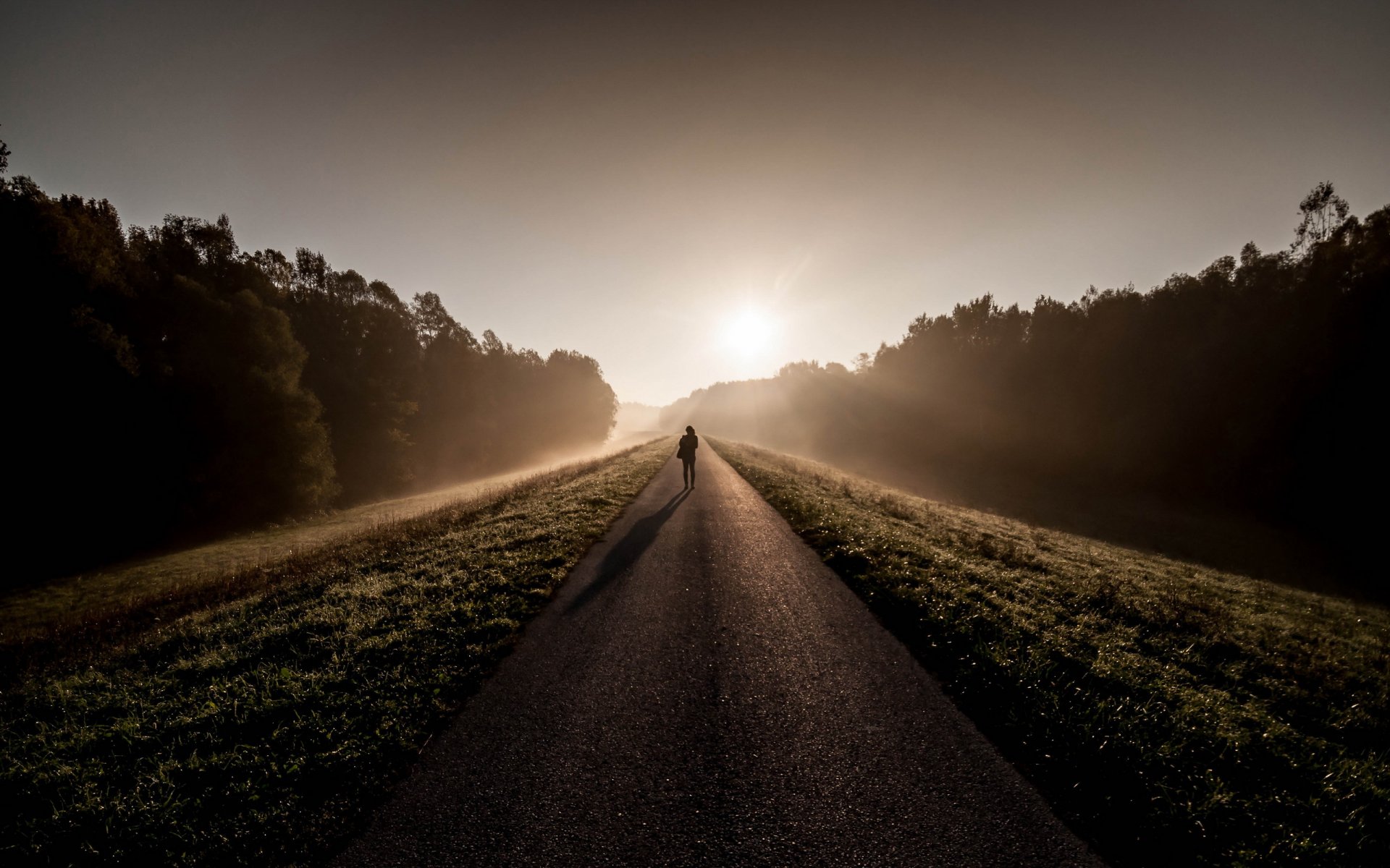 matin route homme brouillard