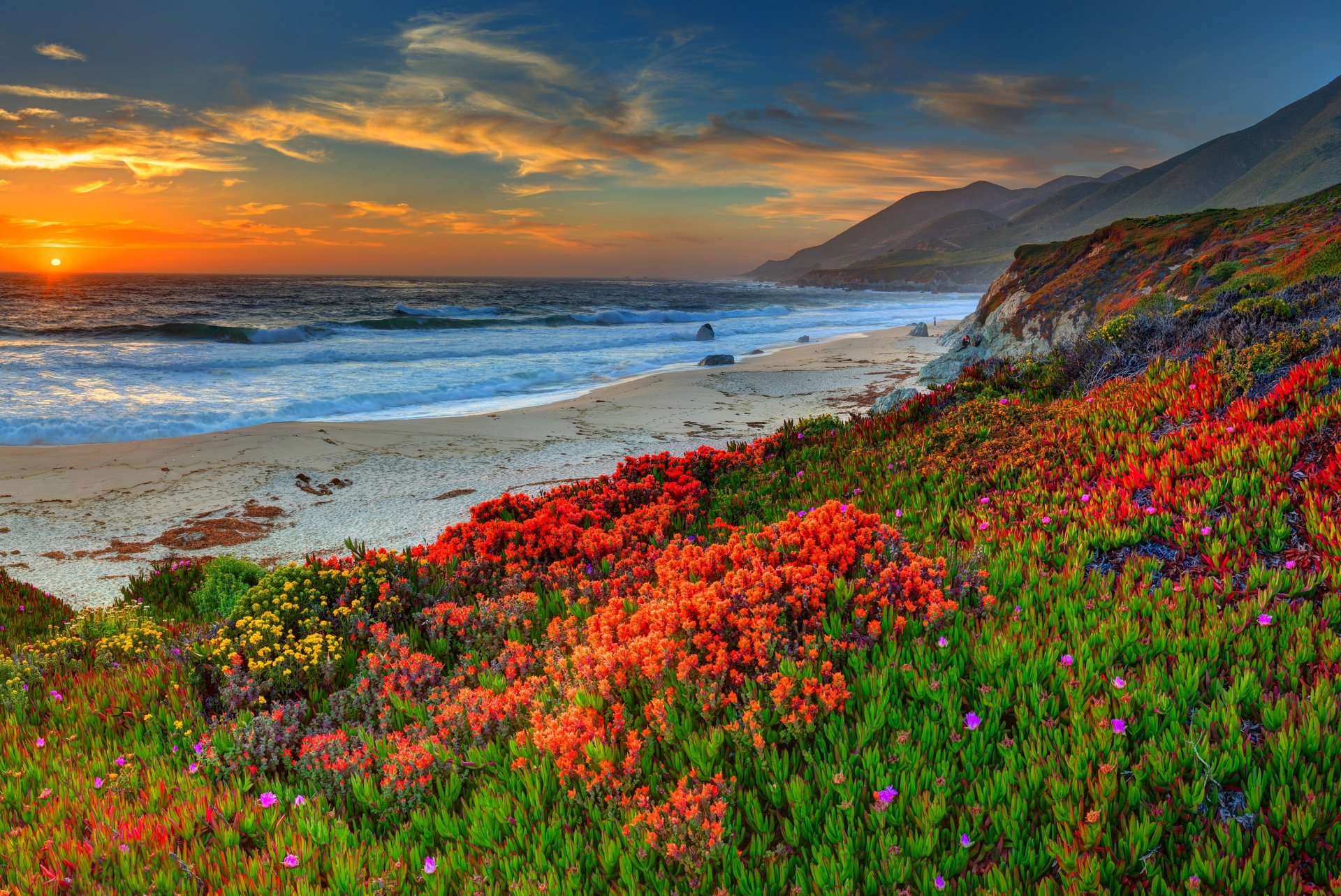 plage coucher de soleil soleil ciel nuages sable nature paysage eau mer océan fleurs nuages