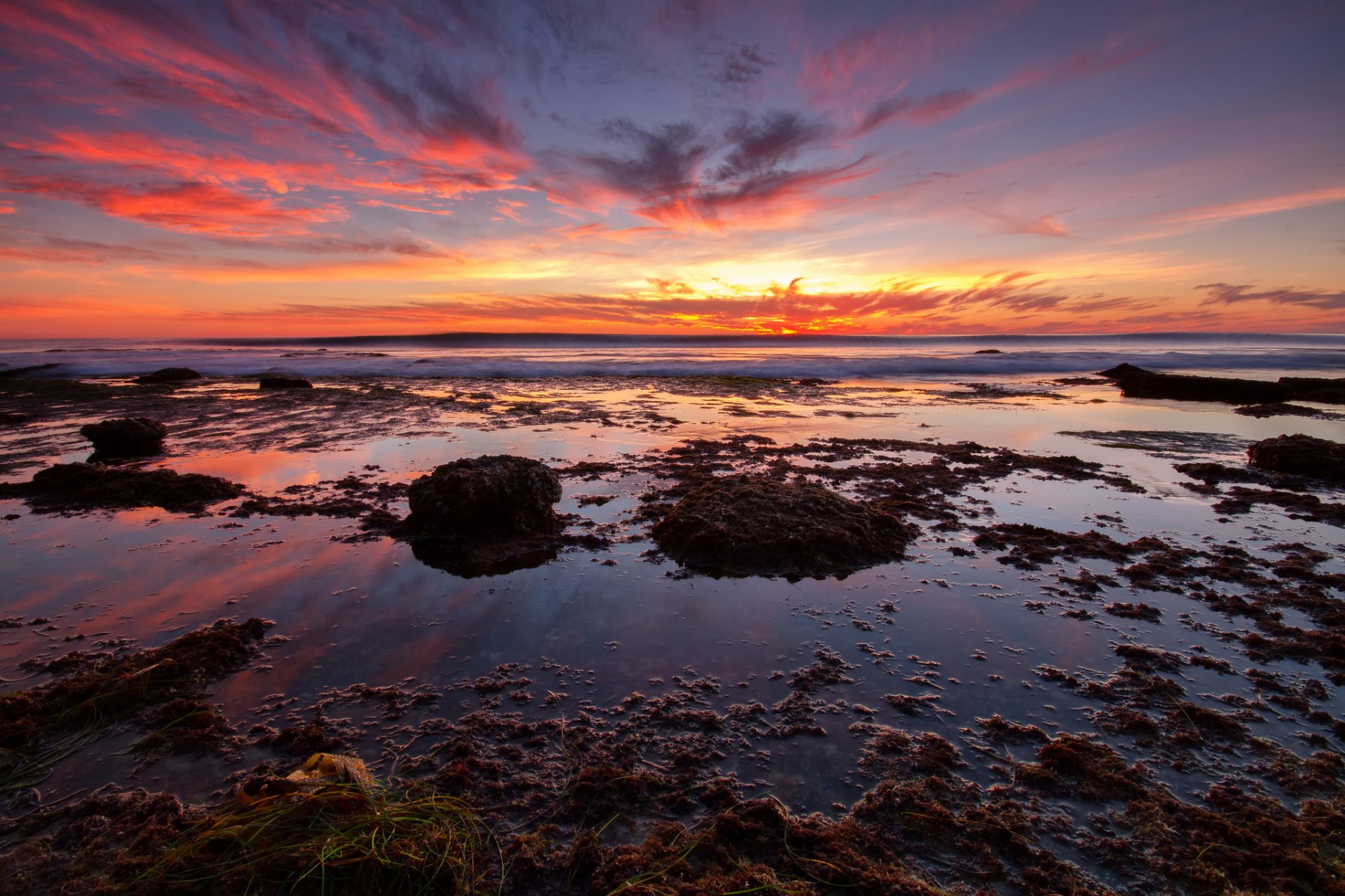 mer plage algues coucher de soleil