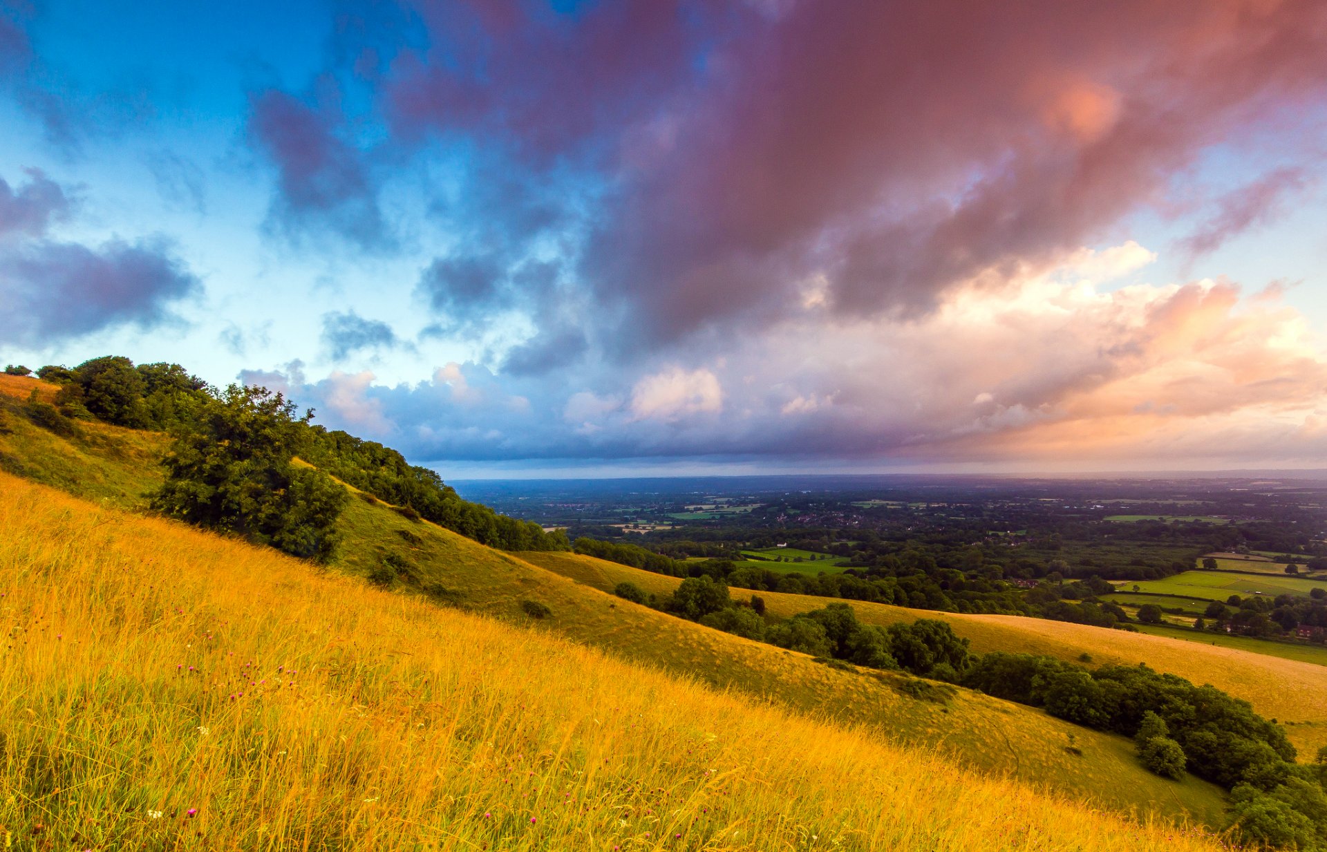 south downs plumpton anglia wielka brytania south downs poranek świt chmury pole trawa wzgórza drzewa krajobraz natura