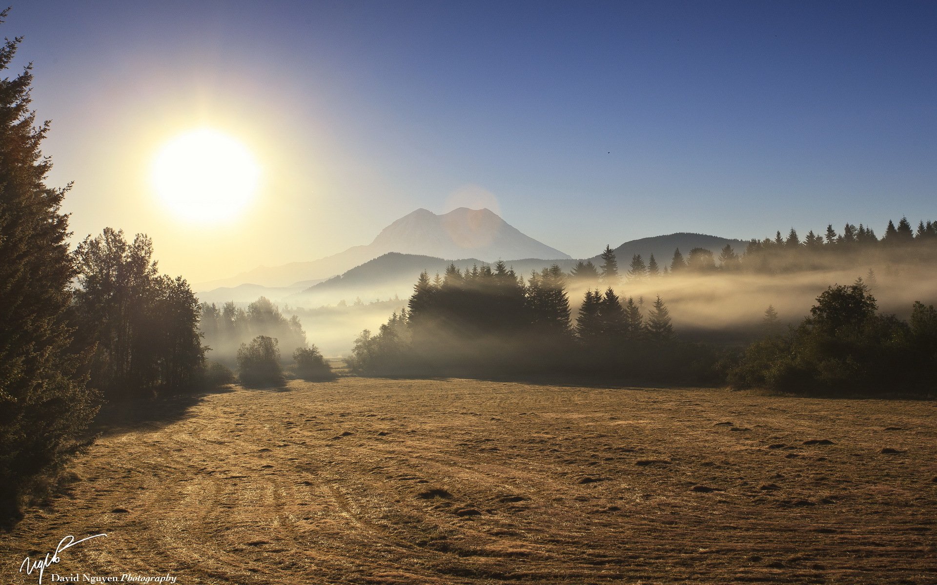 mattina campo nebbia paesaggio