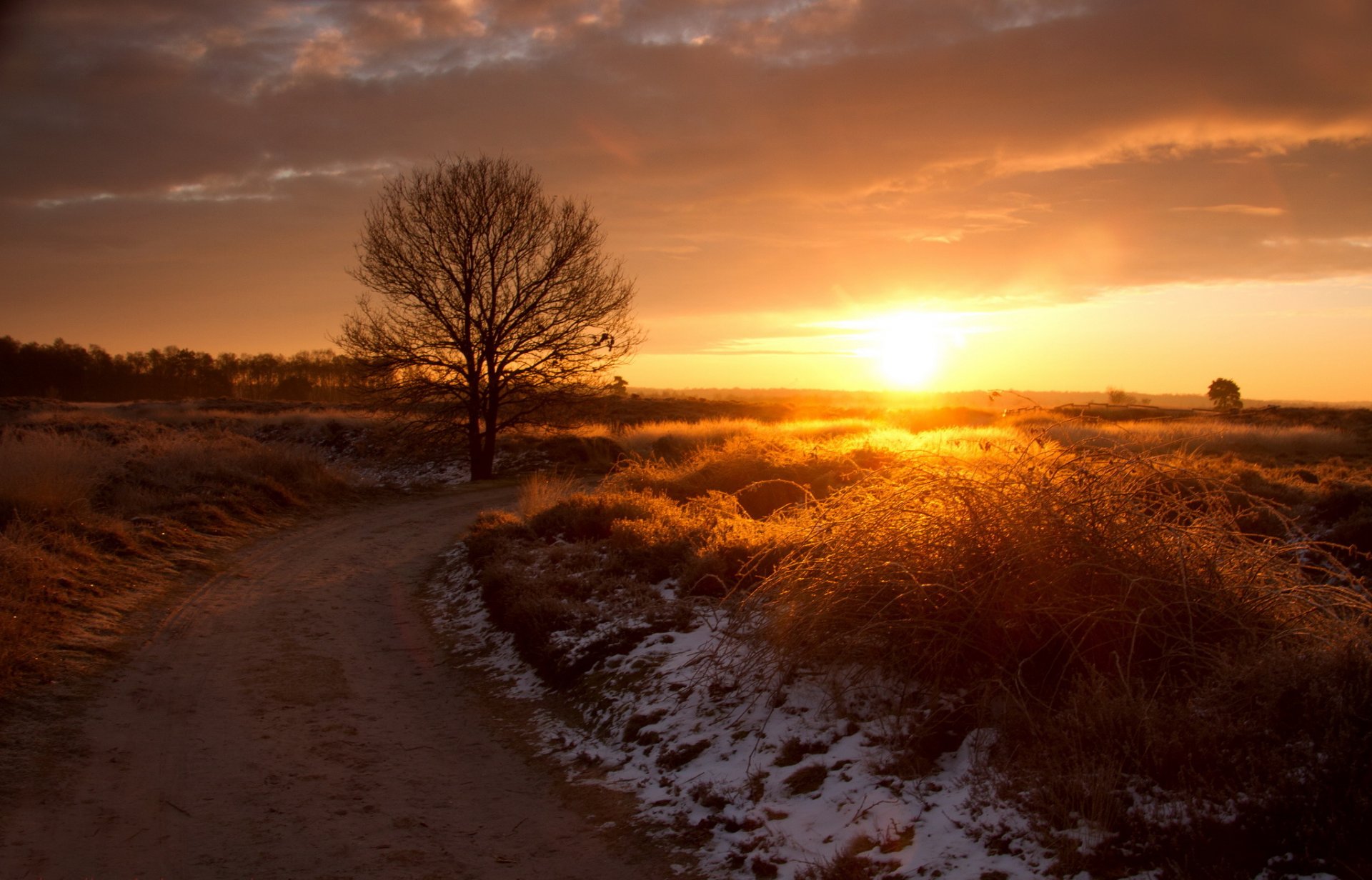 hierba nieve carretera árbol sol puesta de sol