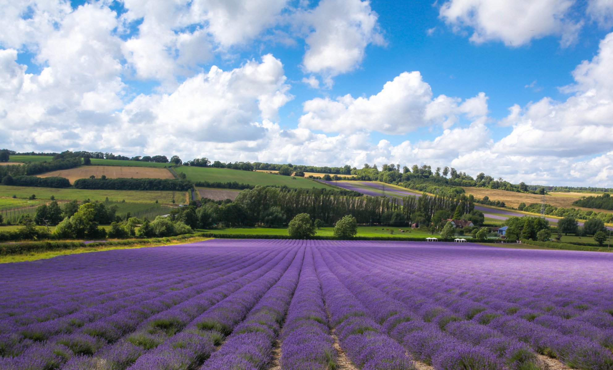 castillo granja shoreham kent inglaterra campos lavanda nubes