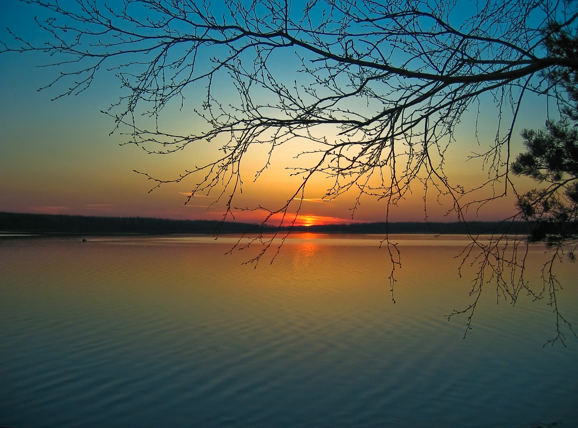 sonnenuntergang abend sonne stille zweige fluss ruhe harmonie ufer