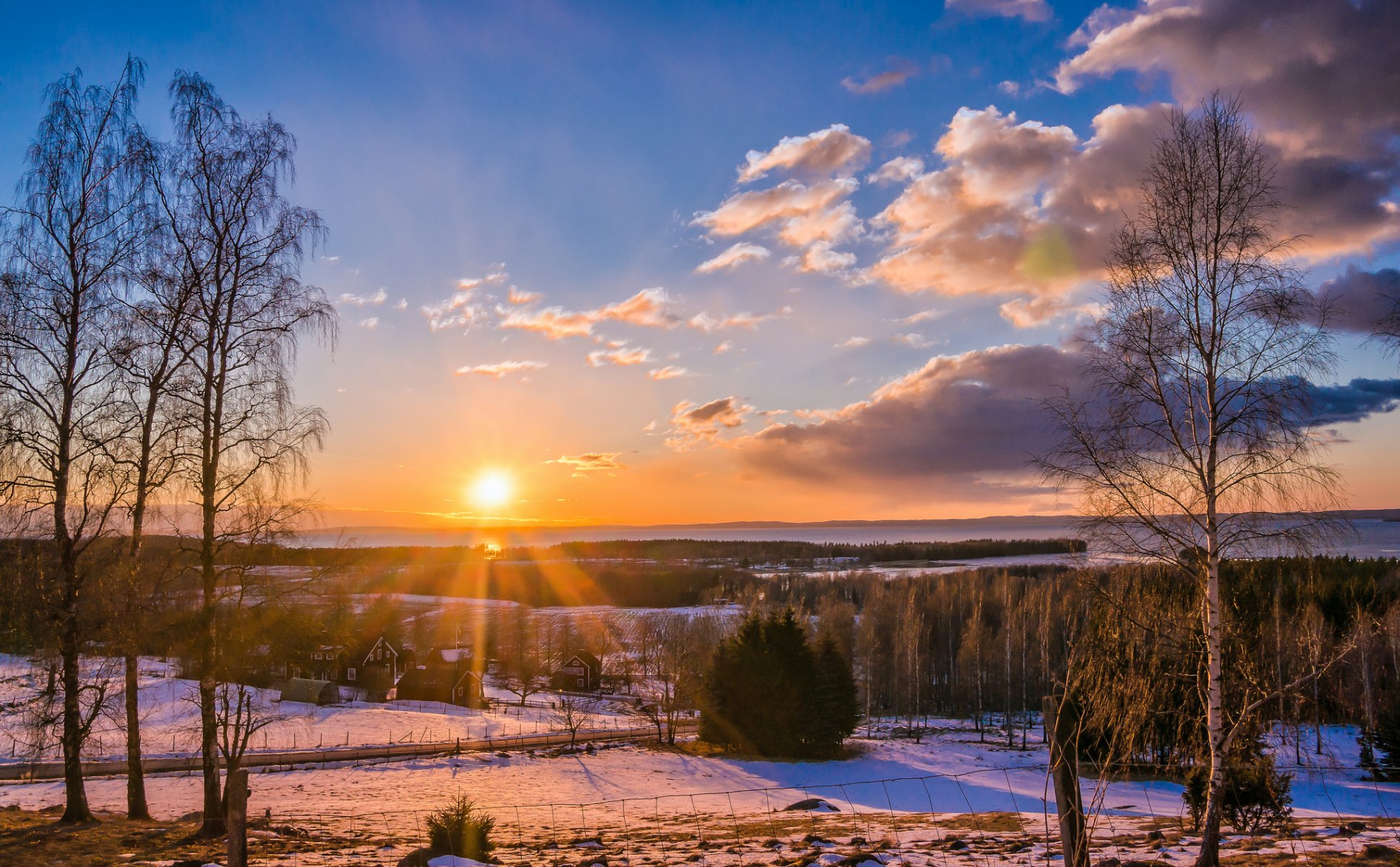 foresta villaggio strada alberi sole tramonto inverno