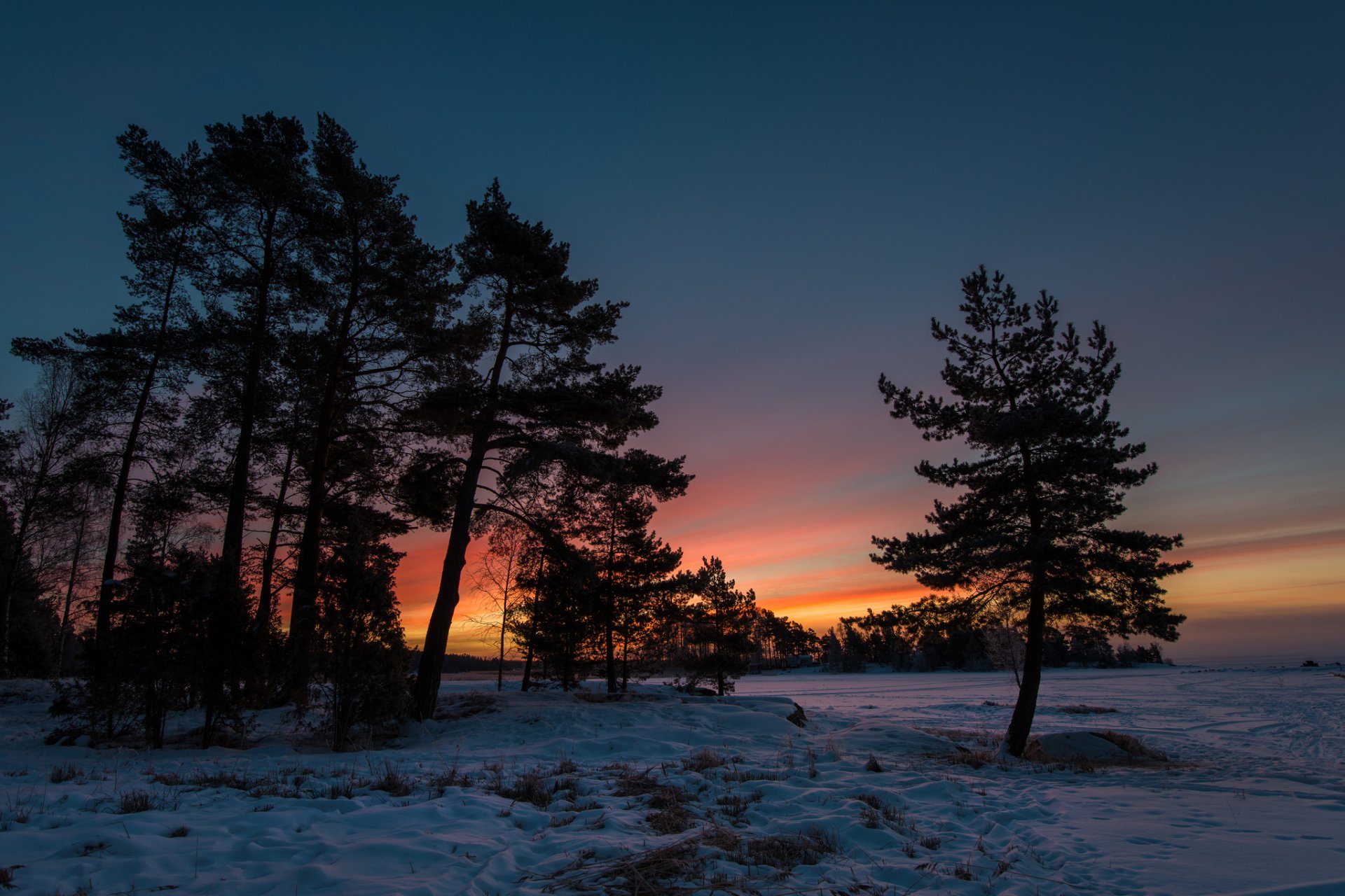 hiver neige arbres coucher de soleil crépuscule