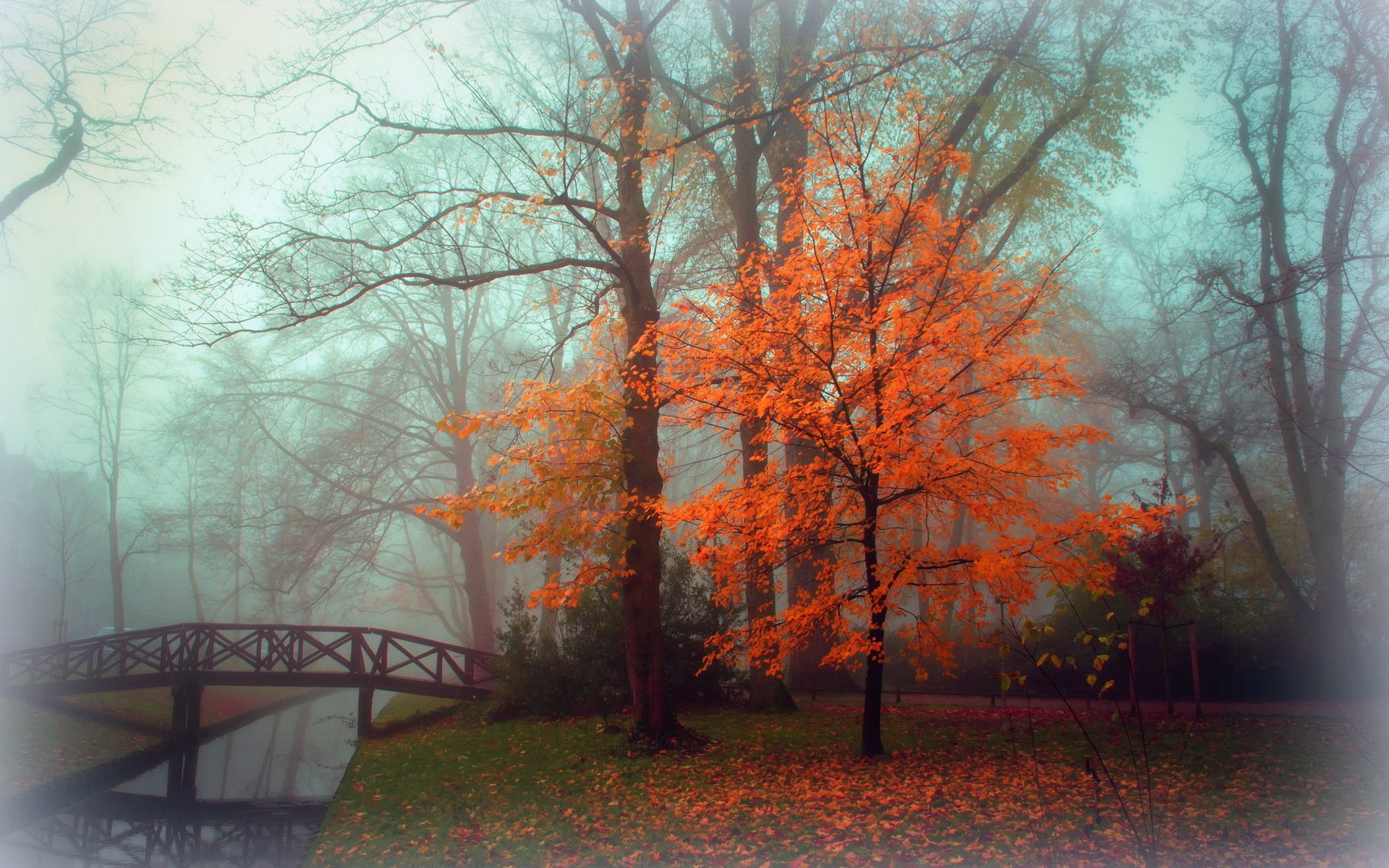 park autumn fog landscape