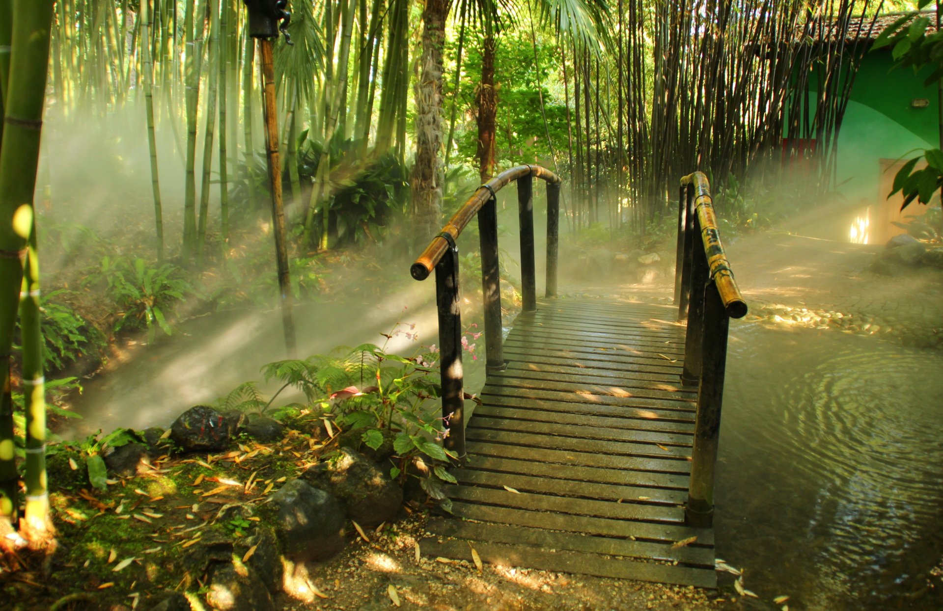 parc italie pont bambou lombardie gardone riviera brouillard nature photo