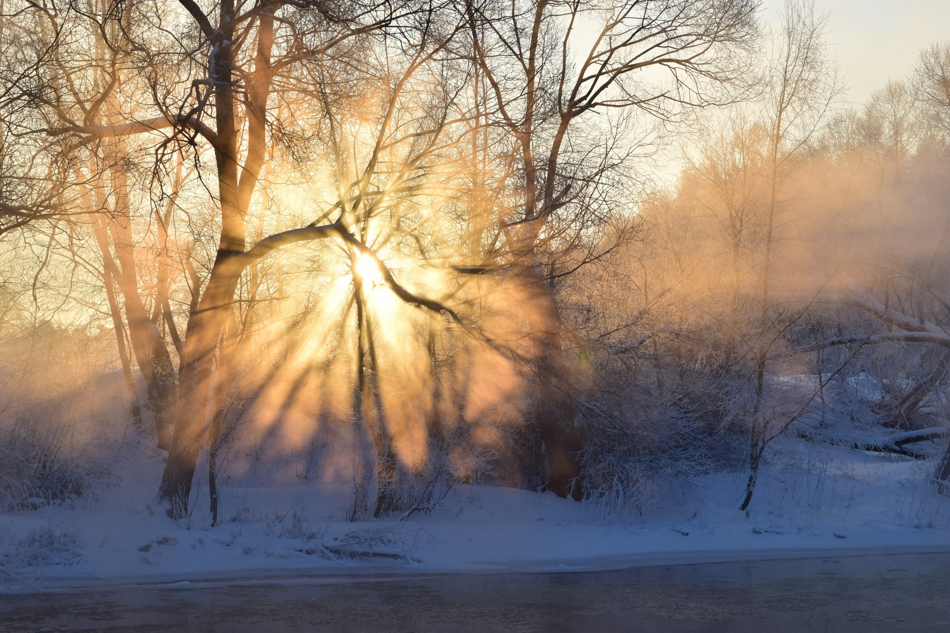 hiver matin lever du soleil soleil rayons brouillard rivière arbres forêt givre neige gel ciel lumière ombre